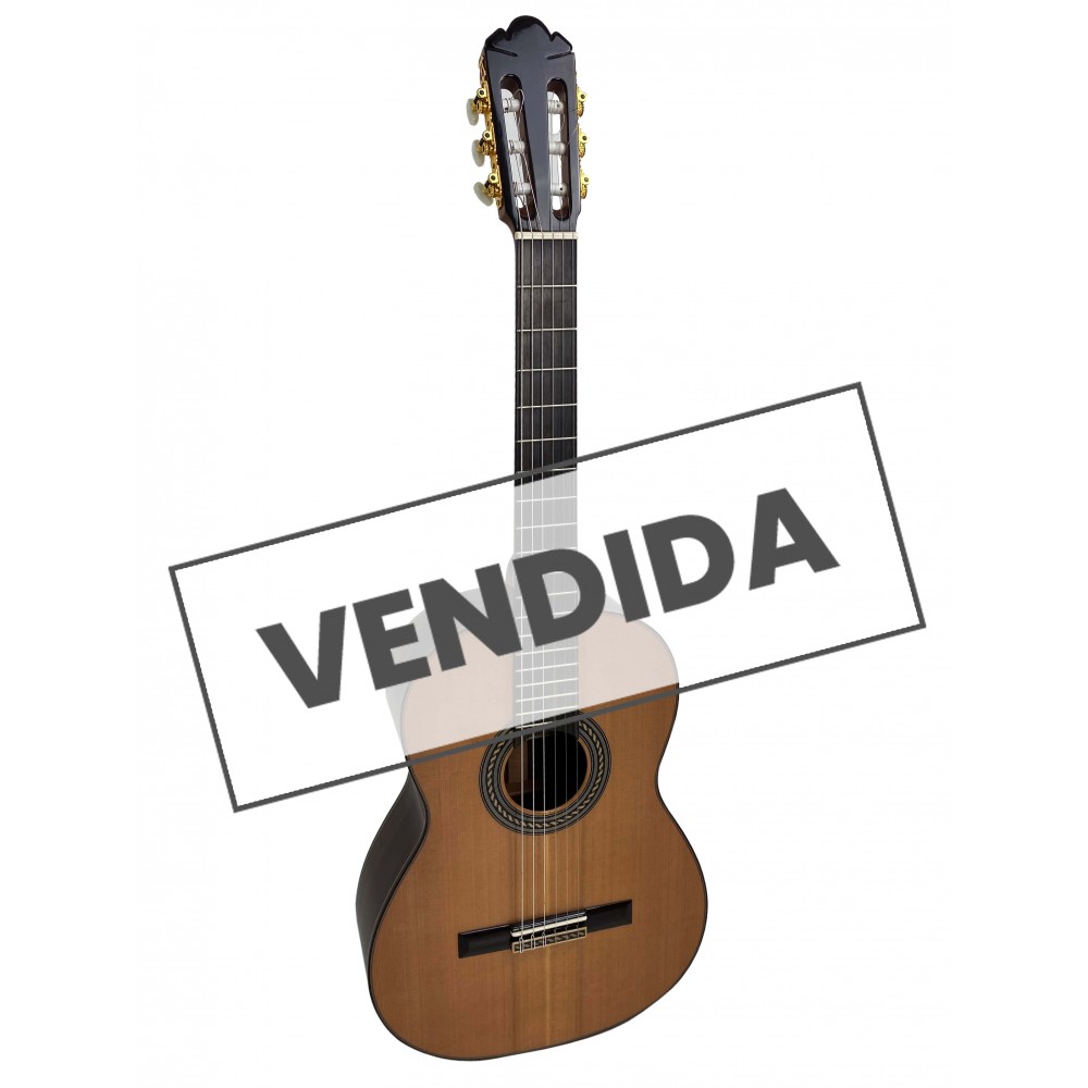 Guitarra Fernando Caldera Lidia 2020