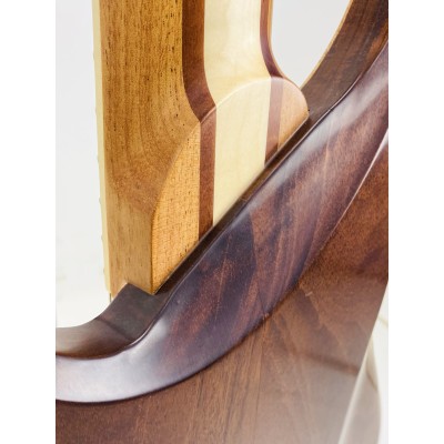 Bajo Eléctrico Danis Parris Custom Modelo Mendum