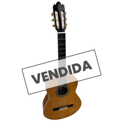 Guitarra Flamenca de Andrés Domínguez 2021