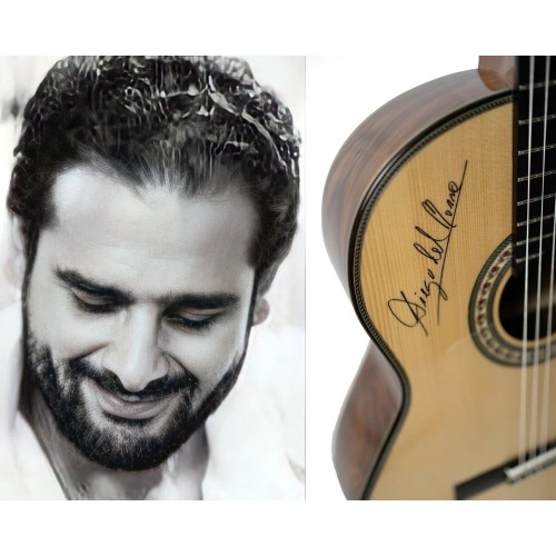 Guitarra Flamenca Diego del Morao Pau Ferro con Previo OS1