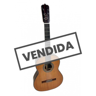 Guitarra Flamenca Fernando Caldera Palo Santo