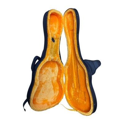 Estuche foam Rapsody Negro/Dorado