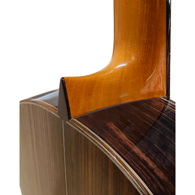 Guitarra de Amalio Burguet modelo SOLEA NEGRA