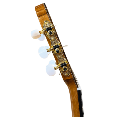 Guitarra de Amalio Burguet modelo SOLEA NEGRA