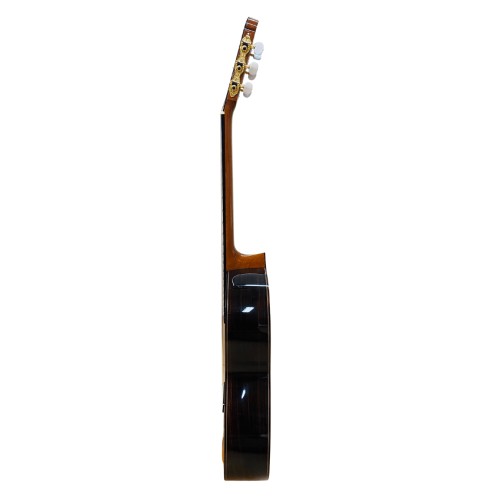 Guitarra de Amalio Burguet modelo SOLEA NEGRA