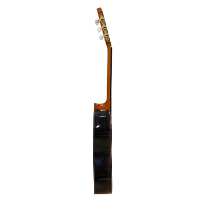 Guitarra de Amalio Burguet modelo SOLEA NEGRA