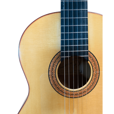 Guitarra de Darío García modelo Diamante