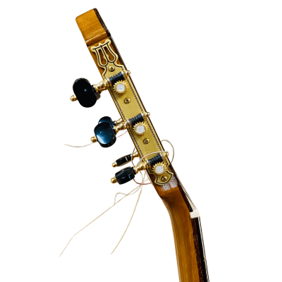 Guitarra de Darío García modelo Diamante