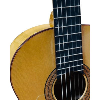 Guitarra de Darío García modelo Diamante