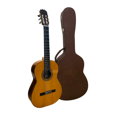 Guitarra Flamenca de Esteban Eijo - Cocobolo y Cedro. Año 2016. Estuche madera incluído.