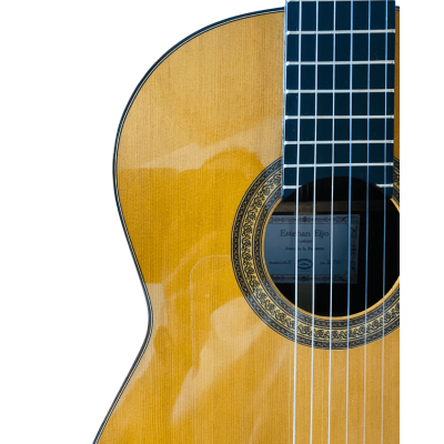 Guitarra Flamenca de Esteban Eijo - Cocobolo y Cedro. Año 2016