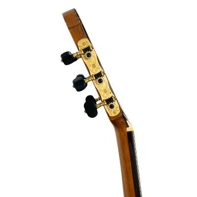 Guitarra Flamenca de Esteban Eijo - Cocobolo y Cedro. Año 2016