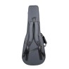 Guitarra Flamenca PRK Serie Plata (F2ª A)