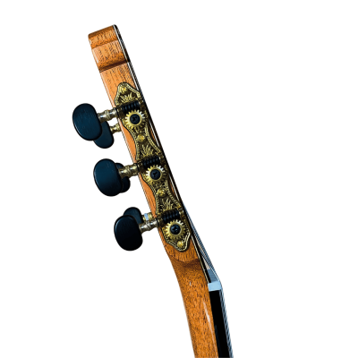 Guitarra Flamenca Antonio de Toledo ATF-17 Z de Ziricote. Tapa Torrefactada