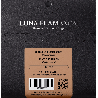 Knobloch Luna DS SN Medium-High 34.0 Juego de Cuerdas
