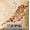 Knobloch Erithacus Carbon CX Media/Fuerte EDC 34.0 Juego de Cuerdas