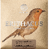 Knobloch Erithacus Nylon QZ Media/Fuerte EDQ 34.0 Juego de Cuerdas