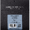 Juego de cuerdas Knobloch Luna DS AZ Low tensión 33.0