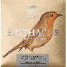 Knobloch Erithacus Carbon CX Media EDC 33.5 Juego de Cuerdas