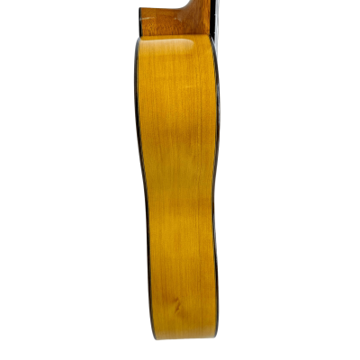 Guitarra Flamenca de David Jiménez Rodríguez 2021