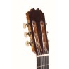 ANTONIO DE TOLEDO ATF-17NECUT EN PALOSANTO CUTAWAY