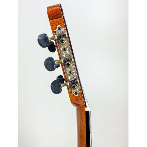 Guitarra Antonio de Toledo ATF-17N SANTOS