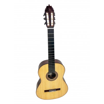 Guitarra de Mario Busto 2023