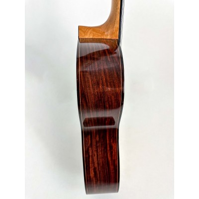 Guitarra de Mario Busto 2023