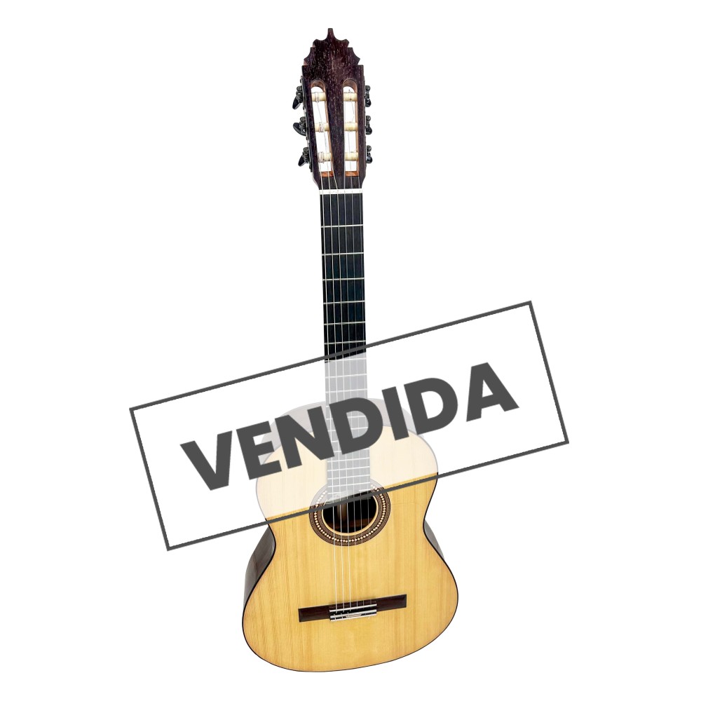 Guitarra de Mario Busto 2023