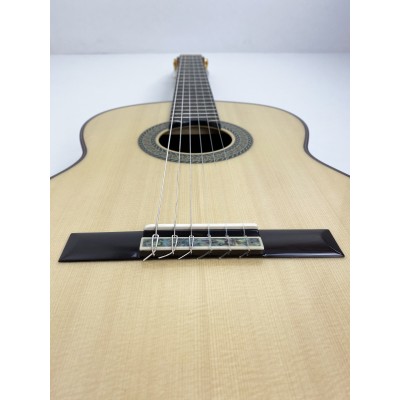 Guitarra Fernando Caldera Aniversario 2020