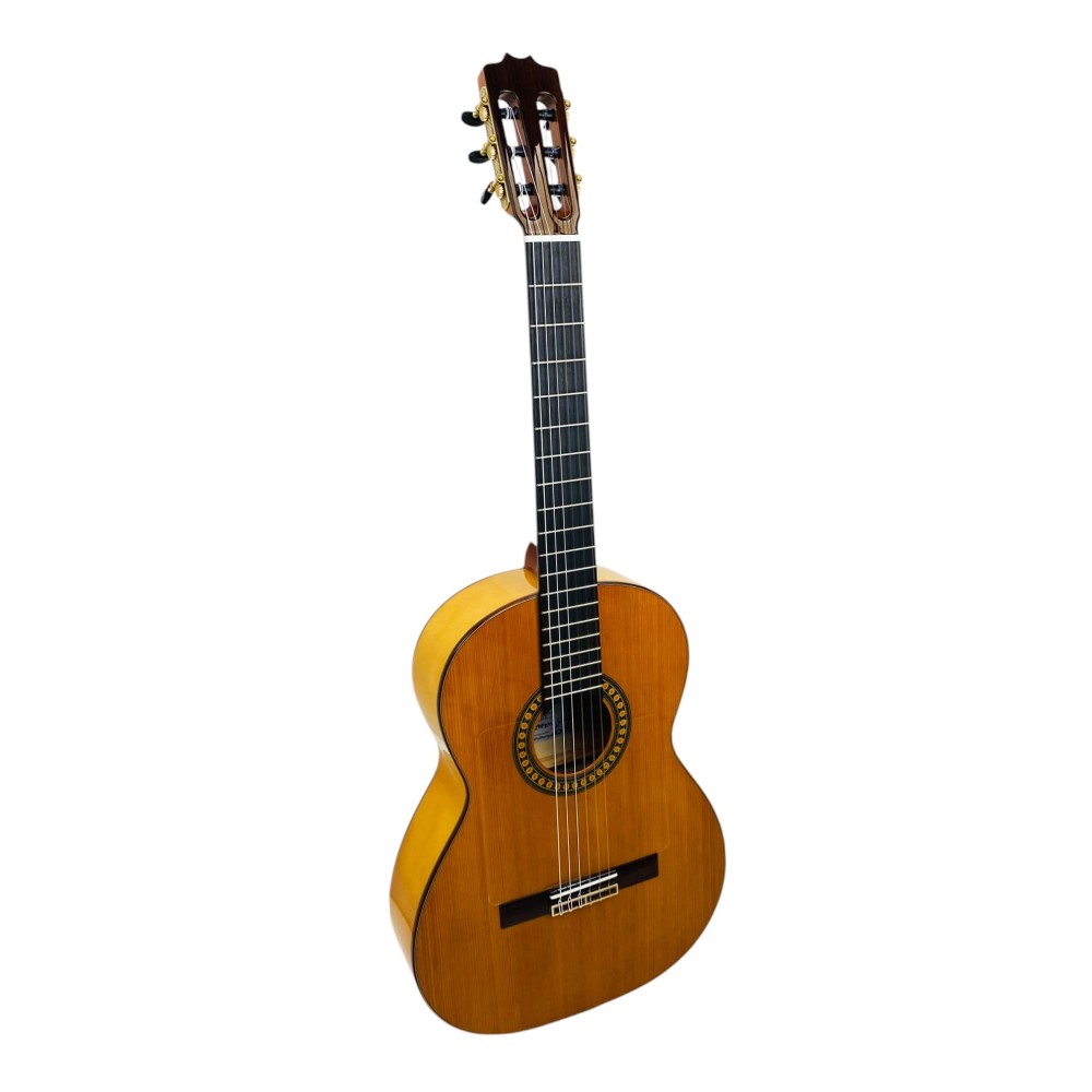 Guitarra Alfonso González Flamenca 1C